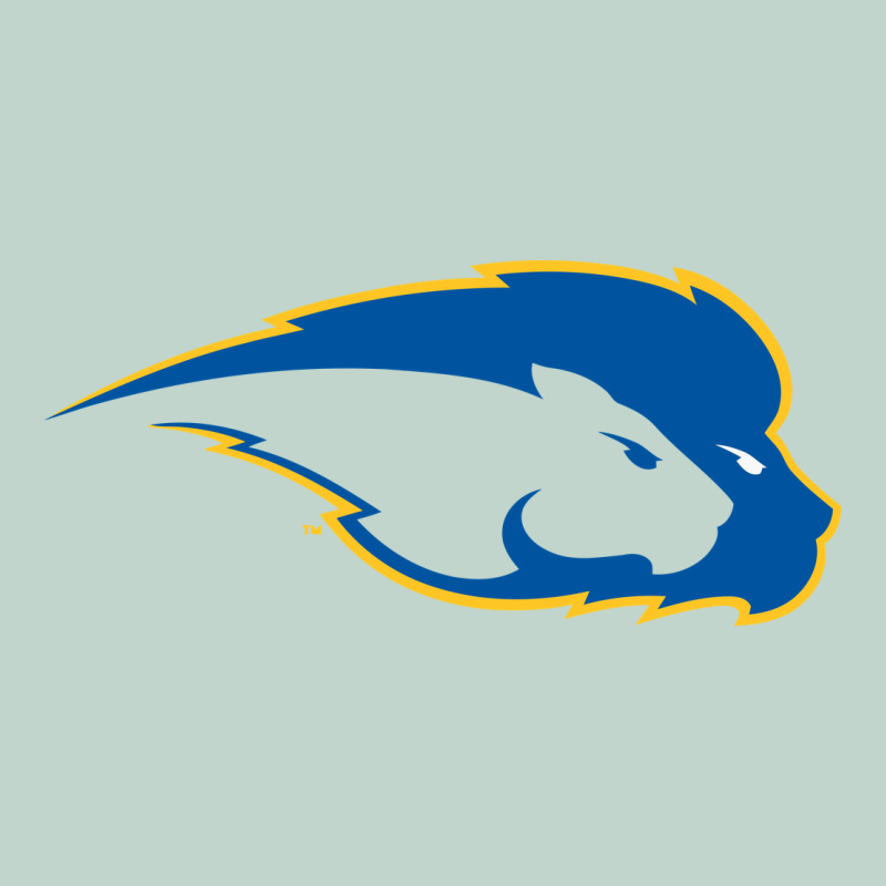 Hofstra Pride Zipper Hoodie by linhVisuals | Teevron