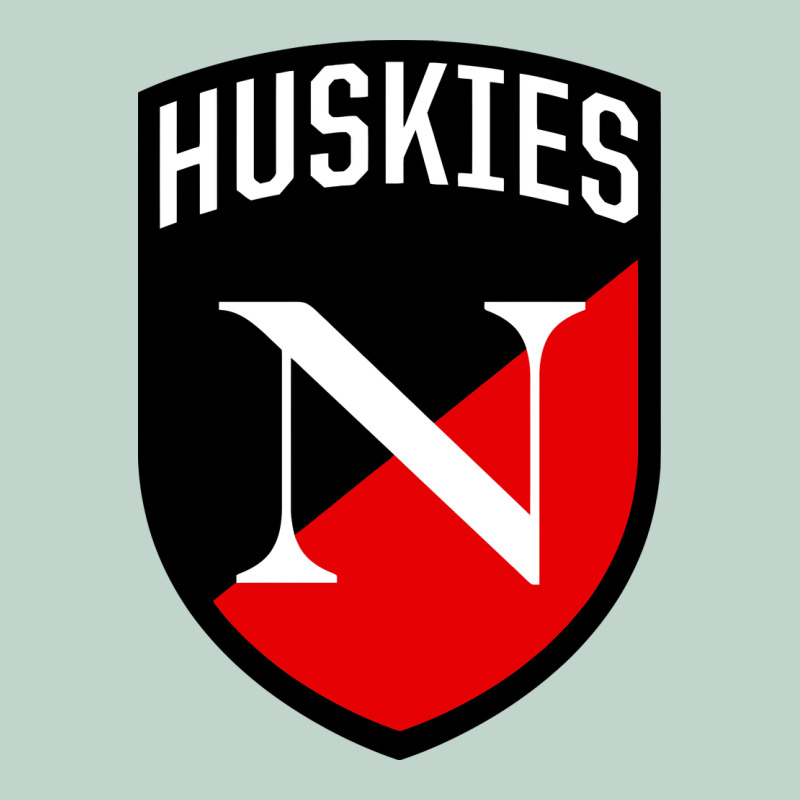 Northeastern Huskies Zipper Hoodie by linhVisuals | Teevron