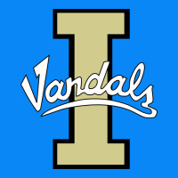 Idaho Vandals Football Team Zipper Hoodie | Teevron