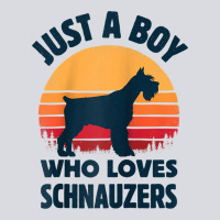 Schnauzer Just A Boy Who Loves Dogs Men Retro Vintage Sunset Raglan Ba Zipper Hoodie | Teevron