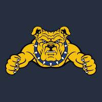 North Carolina A&t Aggies Zipper Hoodie | Teevron
