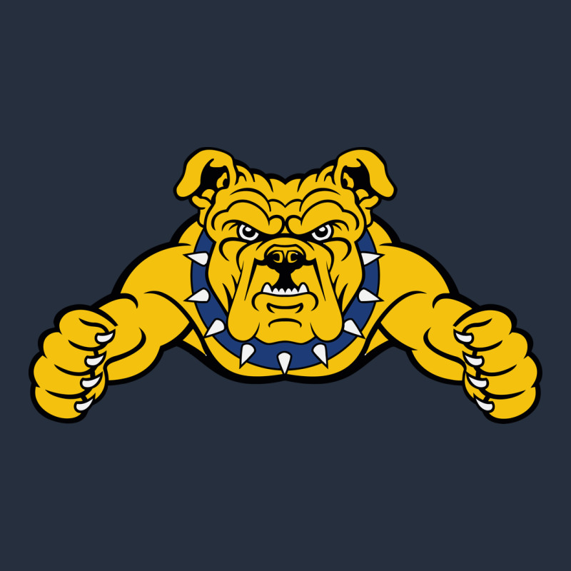 North Carolina A&t Aggies Zipper Hoodie by linhVisuals | Teevron