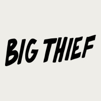 Big Thief Zipper Hoodie | Teevron