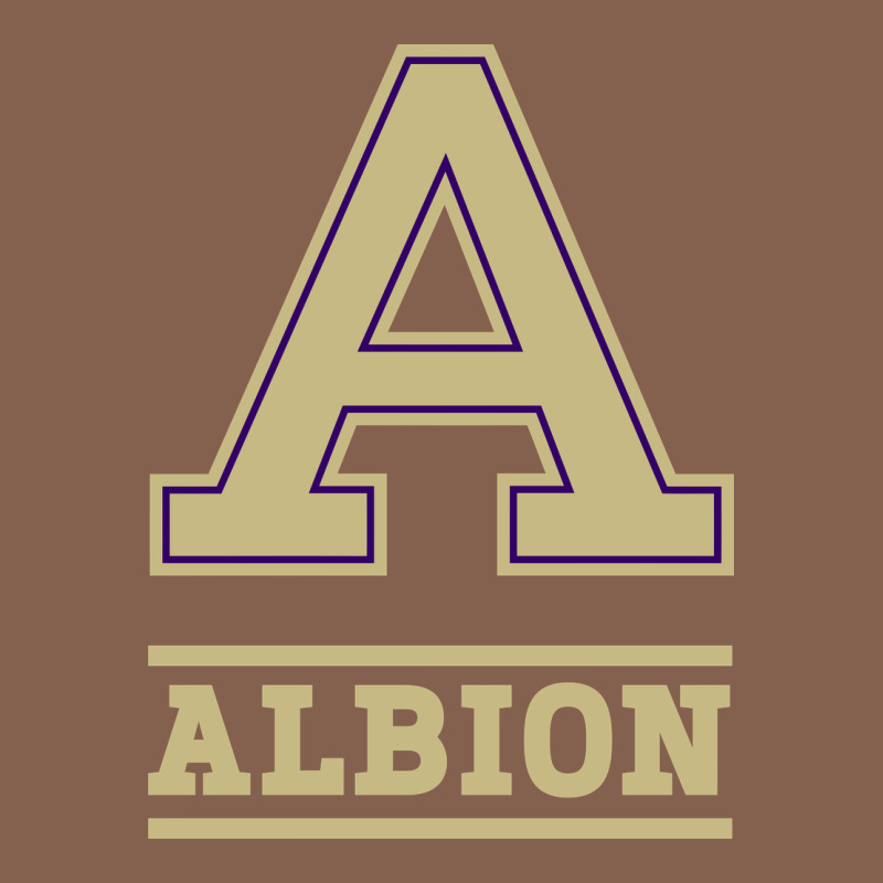 Albion College Athleticpurple Zipper Hoodie by linhVisuals | Teevron