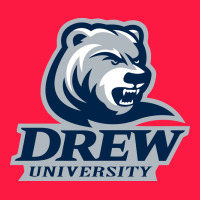 Drew University Vectorized Zipper Hoodie | Teevron