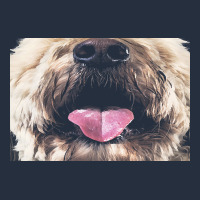 Labradoodle T  Shirtfunny Labradoodle Face Mask Funny Dog Mouth T  Shi Zipper Hoodie | Teevron