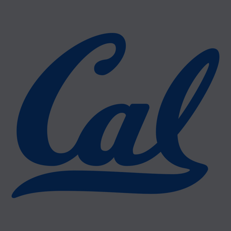 California Zipper Hoodie by linhVisuals | Teevron