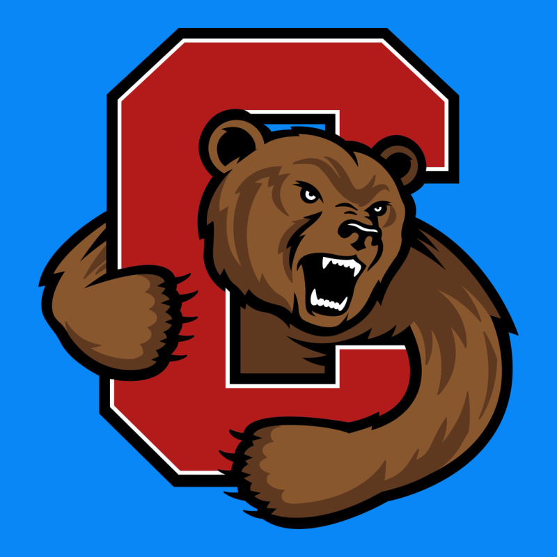Cornell Zipper Hoodie by linhVisuals | Teevron