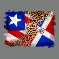 Puerto Rico And Dominican Republic Flag Premium Hoodie | Teevron