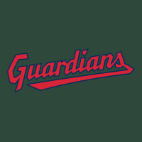 Guardians Zipper Hoodie | Teevron