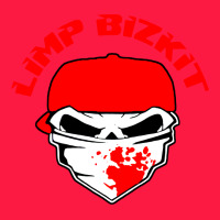 Limp Bizkit 28 Zipper Hoodie | Teevron