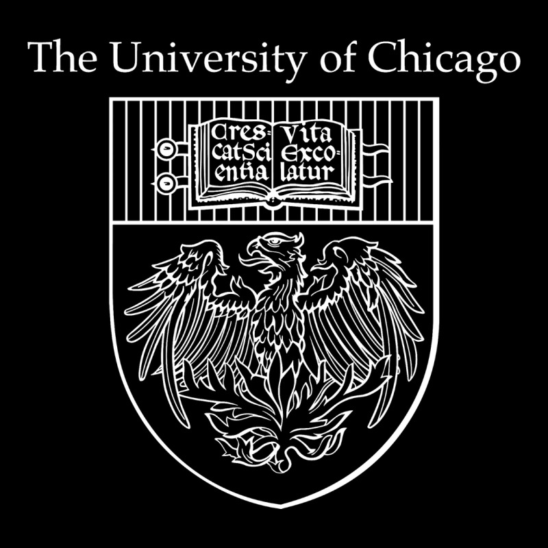 Chicago Zipper Hoodie by linhVisuals | Teevron