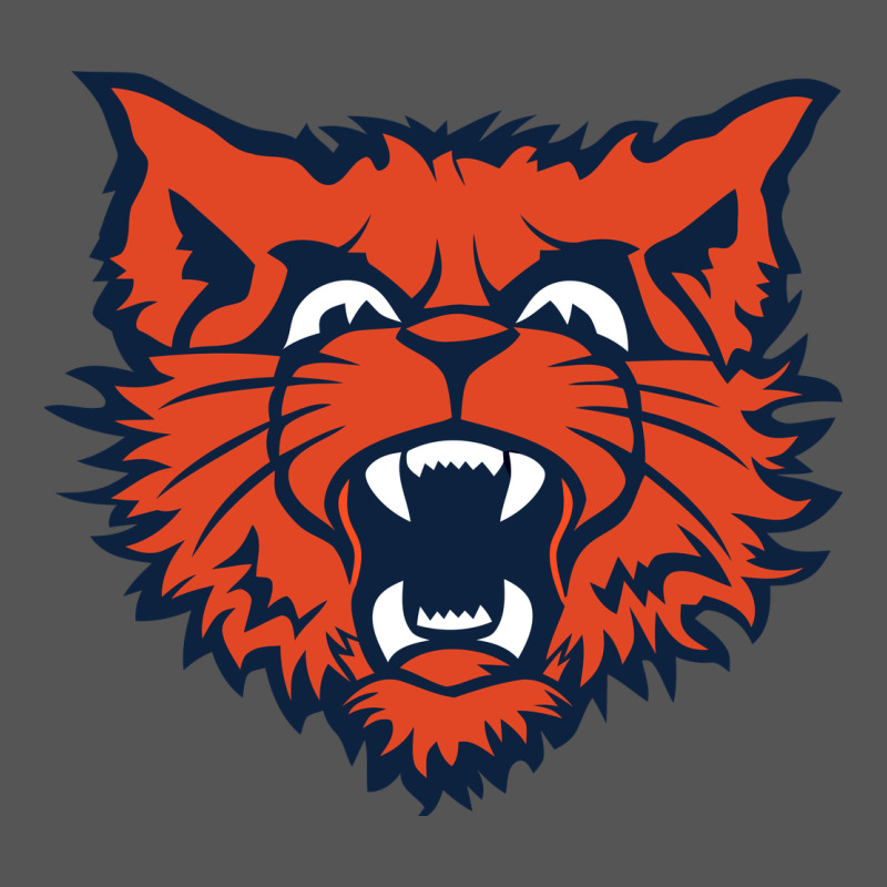 Evanston Township High School Zipper Hoodie by linhVisuals | Teevron