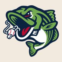 Gwinnett Stripers Zipper Hoodie | Teevron