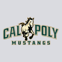 Cal Poly Zipper Hoodie | Teevron