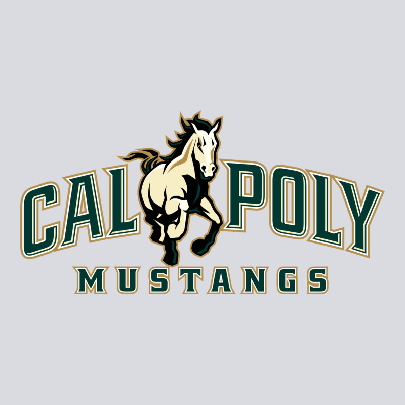 Cal Poly Zipper Hoodie by linhVisuals | Teevron