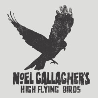 Noel Gallagher's High Flying Birds Classic Zipper Hoodie | Teevron