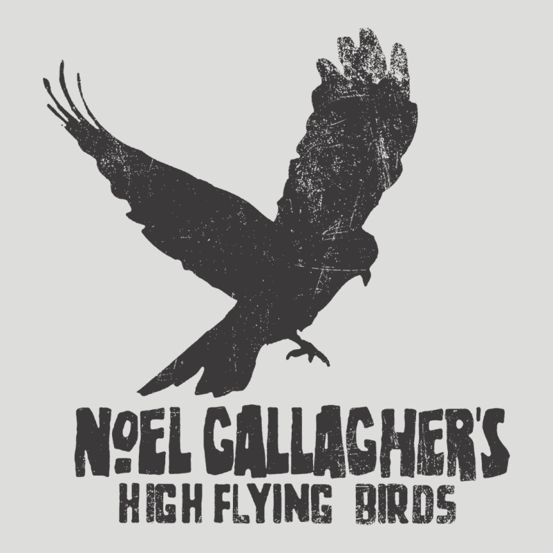 Noel Gallagher's High Flying Birds Classic Zipper Hoodie by linhVisuals | Teevron