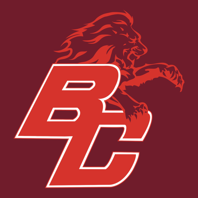 Boyd County High School Baseball Zipper Hoodie by linhVisuals | Teevron