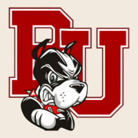 Bu University Terries Champion Zipper Hoodie | Teevron