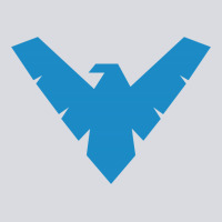 Nightwing Zipper Hoodie | Teevron