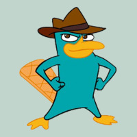Phineas And Ferb, Agent P, Perry The Platypus Zipper Hoodie | Teevron