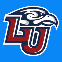 Liberty Flames Zipper Hoodie | Teevron