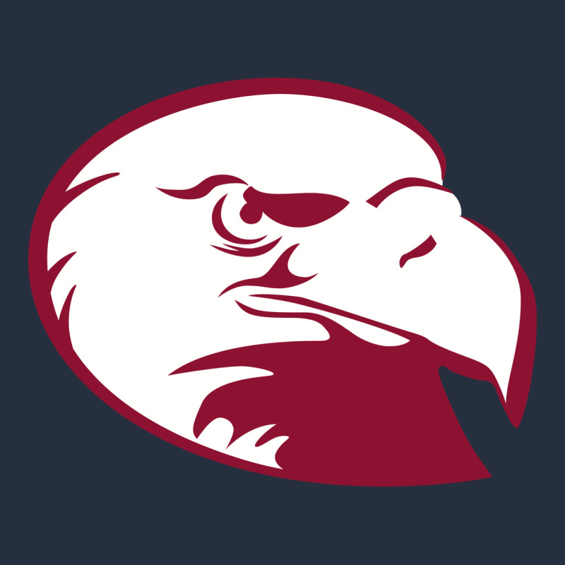 Lock Haven Bald Eagles Zipper Hoodie by linhVisuals | Teevron