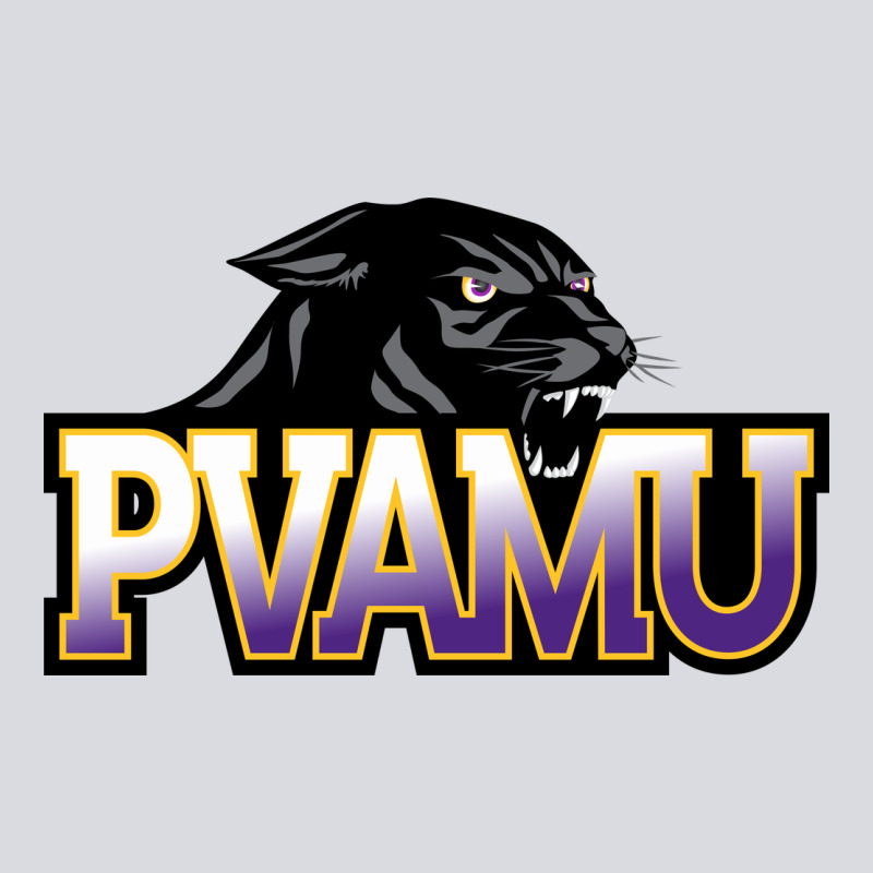 Prairie View A&m Panthers And Lady Panthers Rectangle Patch Zipper Hoodie by linhVisuals | Teevron