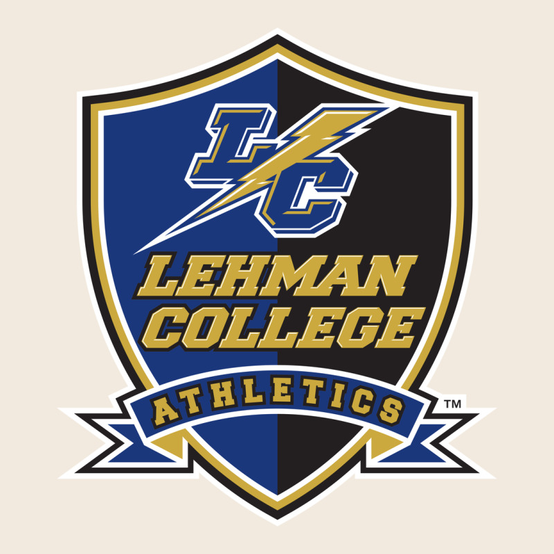 Lehman College Lightning Zipper Hoodie by linhVisuals | Teevron
