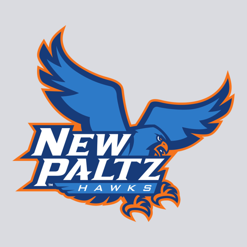 Suny New Paltz Zipper Hoodie by linhVisuals | Teevron