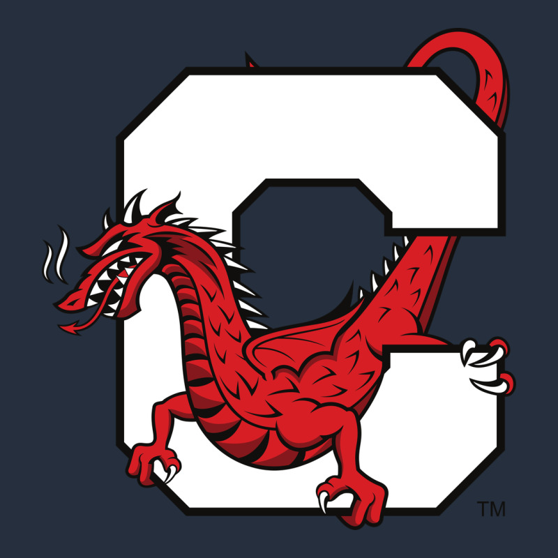Suny Cortland Red Dragons Zipper Hoodie by linhVisuals | Teevron