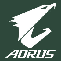 Papan Ibu Gigabyte Aorus Yang Lagi Baru Zipper Hoodie | Teevron
