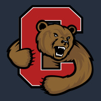 Cornell Big Red Zipper Hoodie | Teevron