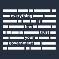 Everything Is Fine Trust Your Government Zipper Hoodie | Teevron