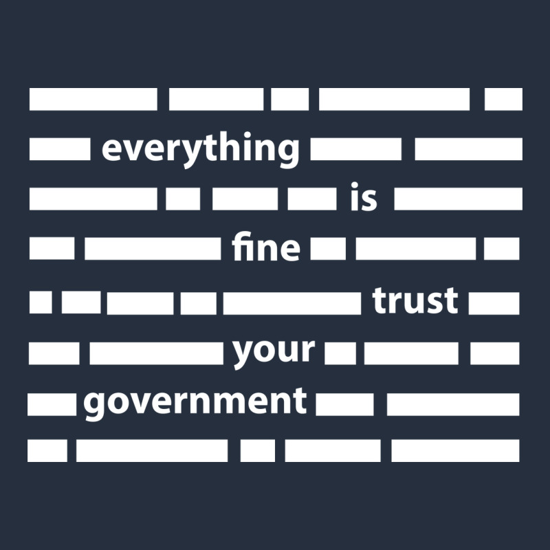 Everything Is Fine Trust Your Government Zipper Hoodie by linhVisuals | Teevron