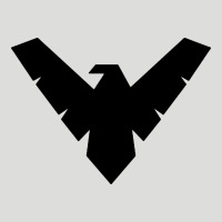 Nightwing Zipper Hoodie | Teevron