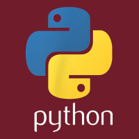 Python Programmer   Computer Developers Tee Zipper Hoodie | Teevron