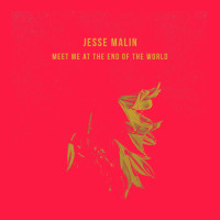 Jesse Malin  Music Zipper Hoodie | Teevron