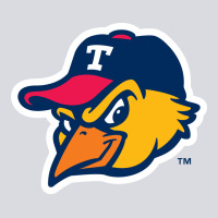 The-toledo-mud-hens-pen Zipper Hoodie | Teevron