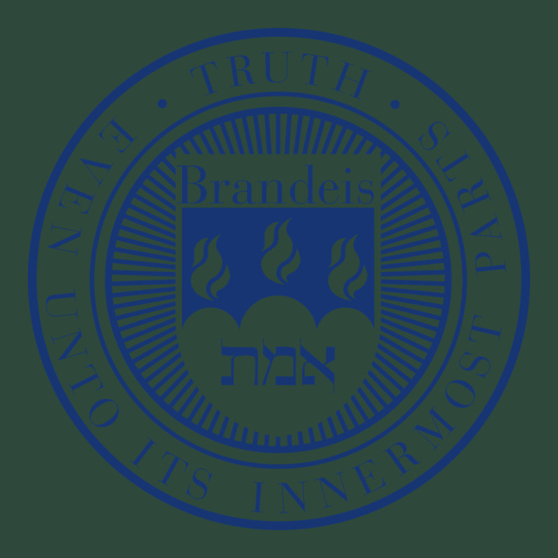 Brandeis University Zipper Hoodie by linhVisuals | Teevron