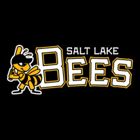 Salt Lake City Bees Zipper Hoodie | Teevron