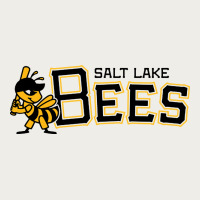 Salt Lake City Bees Zipper Hoodie | Teevron