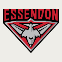 Essendon Fc Zipper Hoodie | Teevron