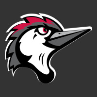 fayetteville woodpeckers | Teevron