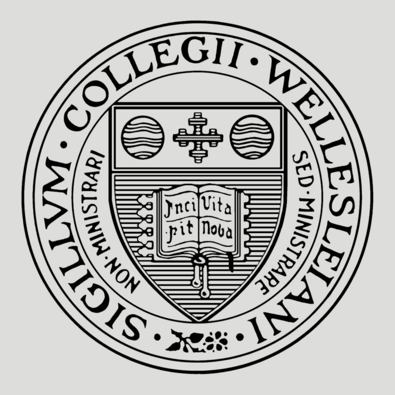 Wellesley College Zipper Hoodie by linhVisuals | Teevron