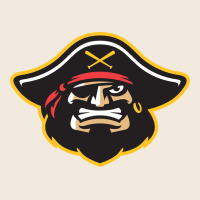 Bradenton Marauders Zipper Hoodie | Teevron