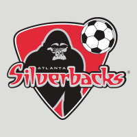 Atlanta Silverbacks Zipper Hoodie | Teevron