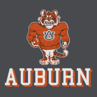 Auburn Tigers 02 Zipper Hoodie | Teevron
