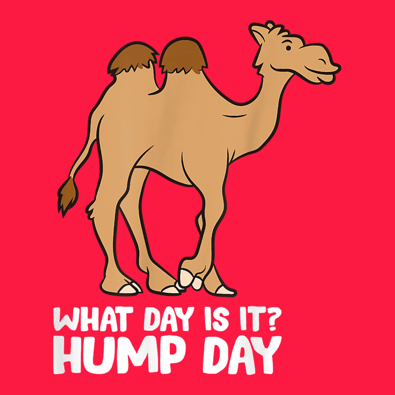 What Day Is It Hump Day Funny Camels Hump Day T Shirt Zipper Hoodie by linhVisuals | Teevron